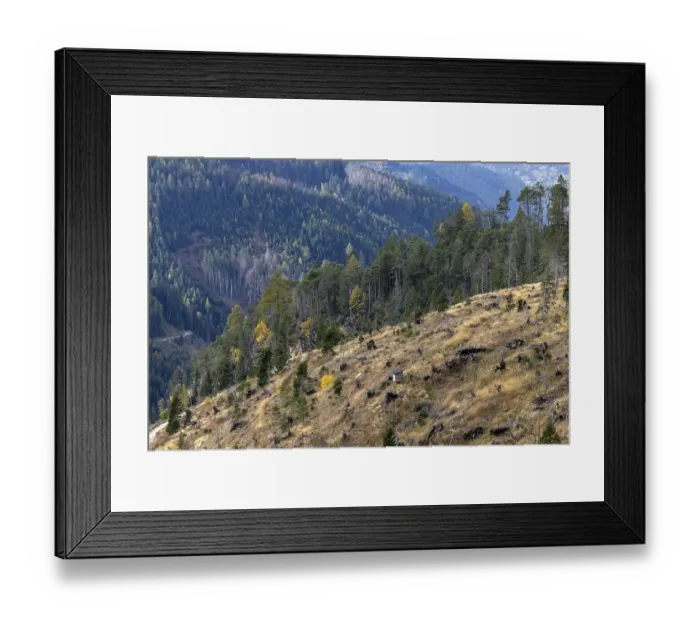 Framed Print : View of the valley with storm damage Framed Print : View of the valley with storm damage