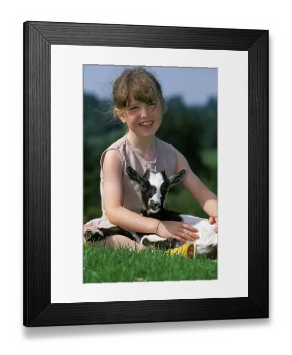 Framed Print : GIRL WITH PYGMY GOAT (capra hircus)