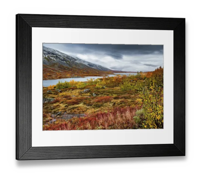 Framed Print : Wide landscape, Fjaell with colourful vegetation in autumn