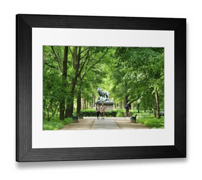 Framed Print : Ahornsteig, Park, Tiergarten, Berlin