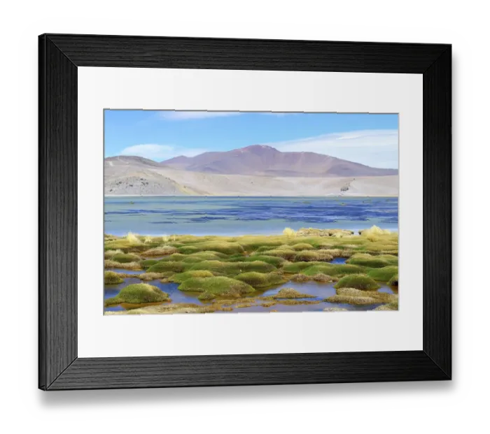 Framed Print : Vegetation at the Laguna Santa Rosa