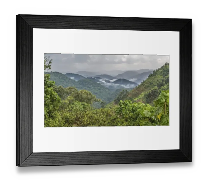 Framed Print : Tropical rainforest, hilly landscape with clouds in the back