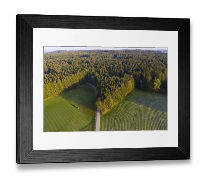 Framed Print : Spruce forest, sports field and meadow Framed Print : Spruce forest, sports field and meadow