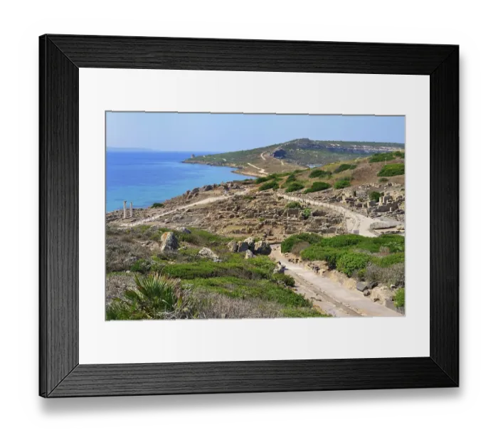 Framed Print : Excavations of the ancient city Tharros