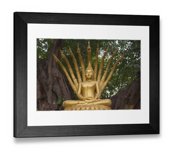 Framed Print : Buddha Statue, Wat Wisunalat, Luang Prabang Framed Print : Buddha Statue, Wat Wisunalat, Luang Prabang