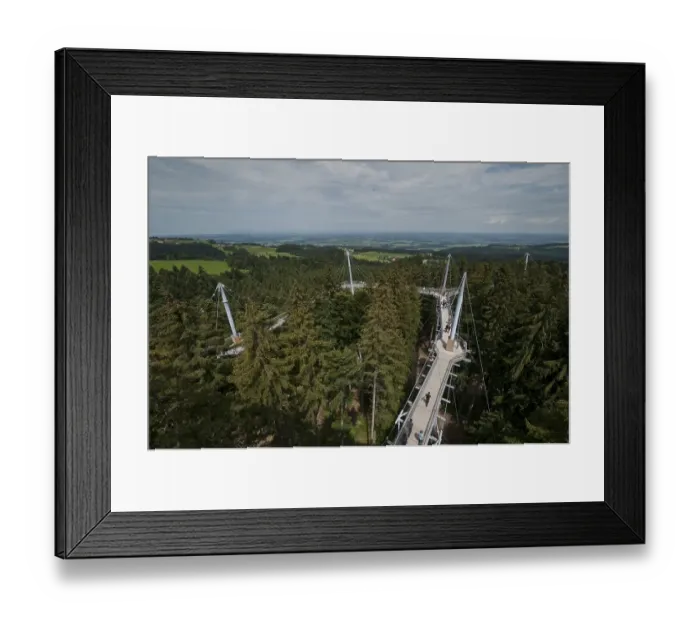Framed Print : Treetop path, adventure playground Framed Print : Treetop path, adventure playground