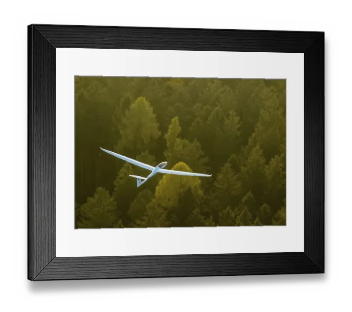 Framed Print : Glider, two-seater, Duo Discus D-5443 over autumn forest