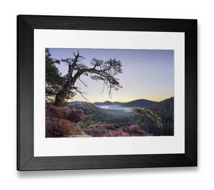 Framed Print : View from Schuetzenwand, mountain Framed Print : View from Schuetzenwand, mountain
