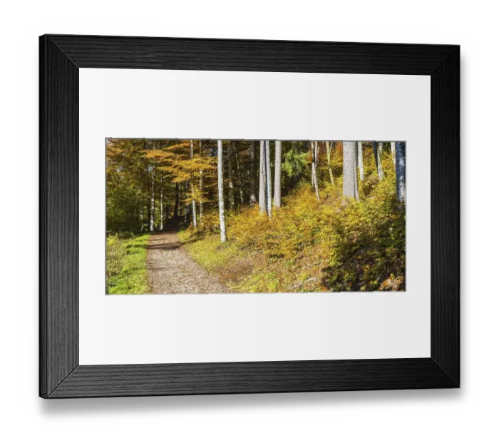 Framed Print : Mountain forest in Trettachtal