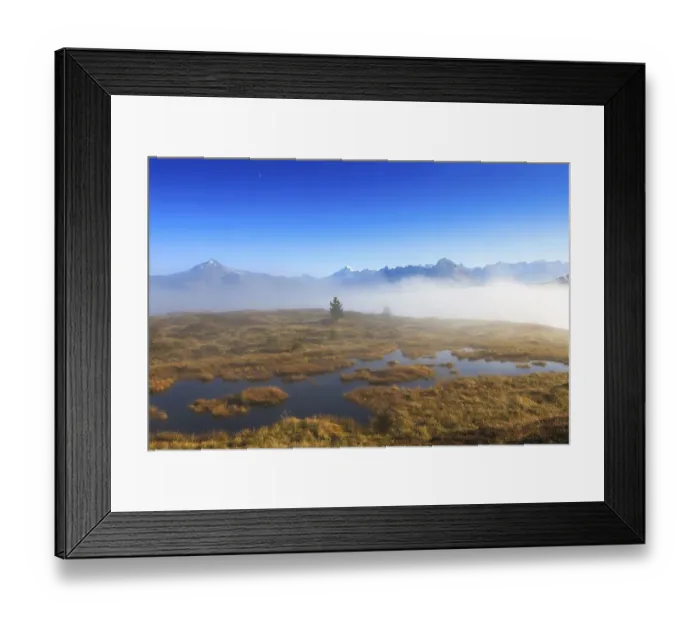 Framed Print : Upland moor in the fog, Tyrol, Austria, Europe