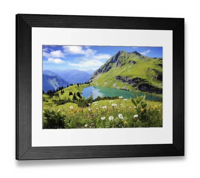 Framed Print : Seealpsee is a high mountain lake with a fantastic view of the Alps and a flower meadow in the foreground