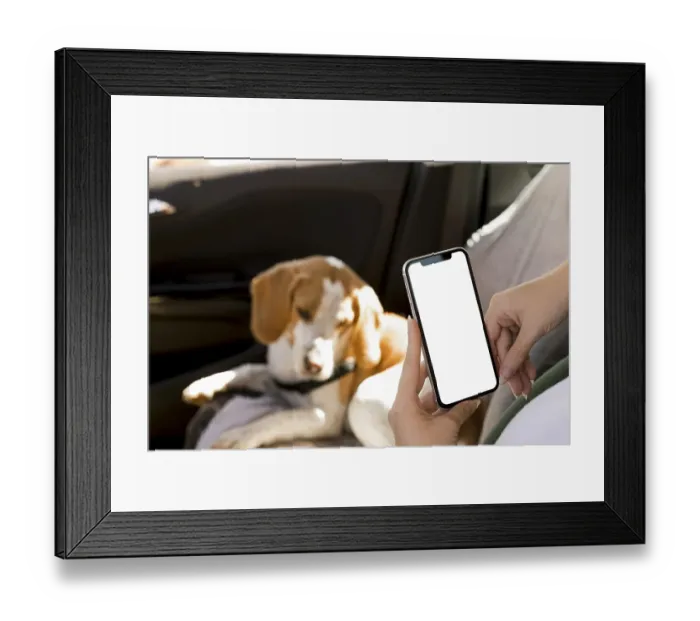 Framed Print : Person holding mobile phone blurred dog background Framed Print : Person holding mobile phone blurred dog background