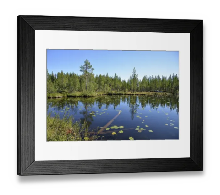 Framed Print : Forest lake, Boertnan, Ljungdalen