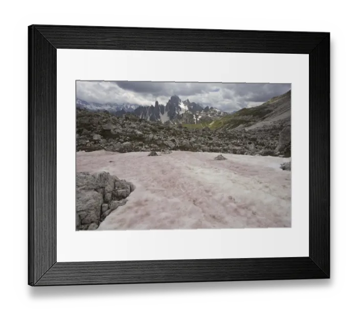 Framed Print : Red Snow or Watermelon Snow Framed Print : Red Snow or Watermelon Snow