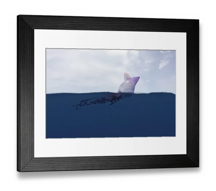 Framed Print : Portuguese Man O War (Physalia physalis)