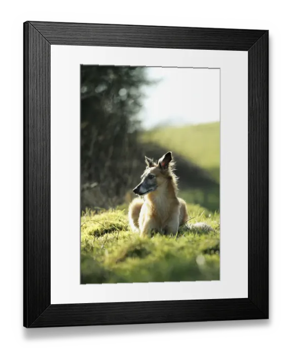 Framed Print : Silken Wind Sprite, male, in meadow Framed Print : Silken Wind Sprite, male, in meadow