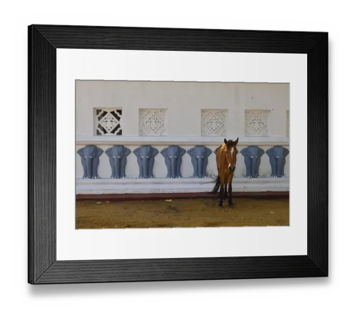 Framed Print : Horse in front of the wall of a Buddhist shrine decorated with elephants