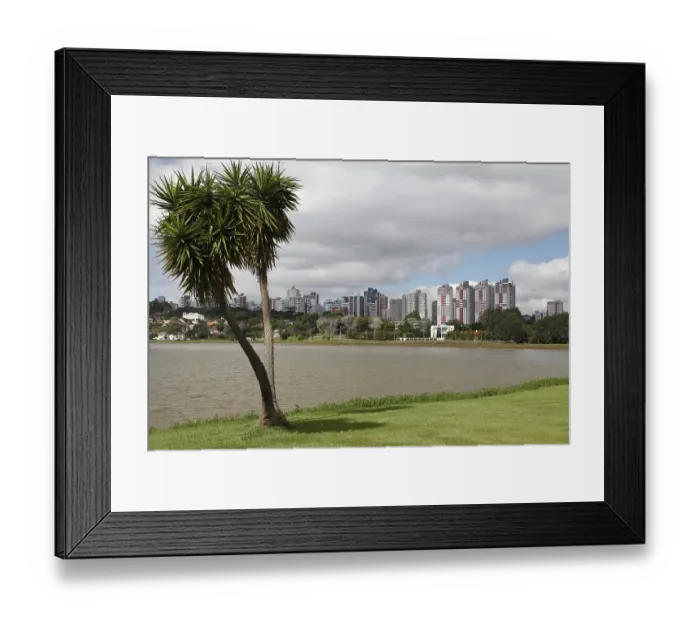 Framed Print : Barigui Park, Parque Barigui, skyline with skyscrapers behind Framed Print : Barigui Park, Parque Barigui, skyline with skyscrapers behind