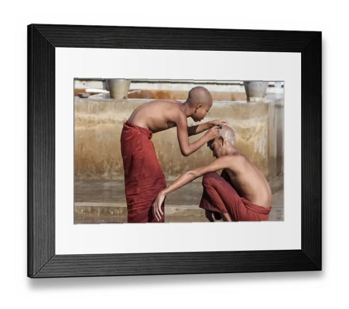 Framed Print : Novice monks during a head shave in the Shwe Yaunghwe Kyaung Monastery Framed Print : Novice monks during a head shave in the Shwe Yaunghwe Kyaung Monastery