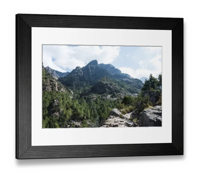 Framed Print : Mountain landscape with trail, pine forest