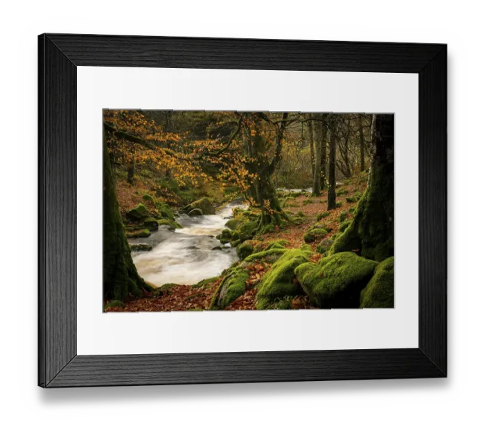 Framed Print : Mountain stream in autumnal deciduous forest Framed Print : Mountain stream in autumnal deciduous forest