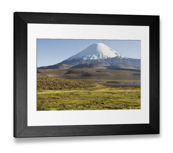 Framed Print : Parinacota volcano, Lauca national park