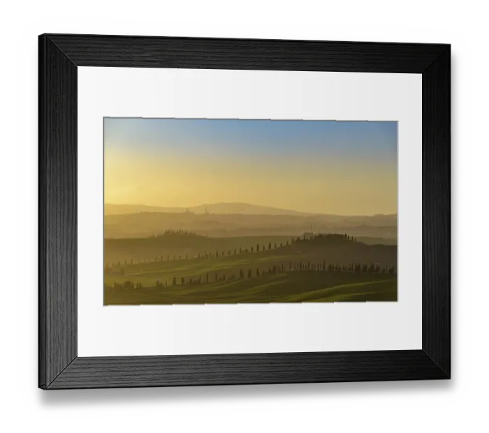 Framed Print : Sunset over hilly landscape with pine avenue