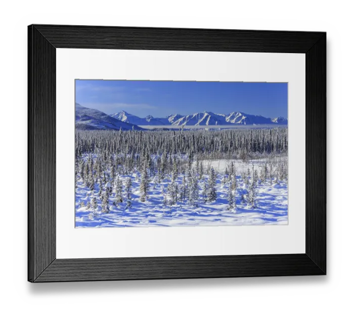 Framed Print : Winter mountain landscape, conifers