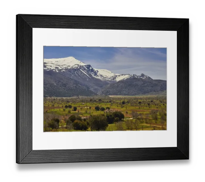 Framed Print : Lassithi Plain, green fields, trees