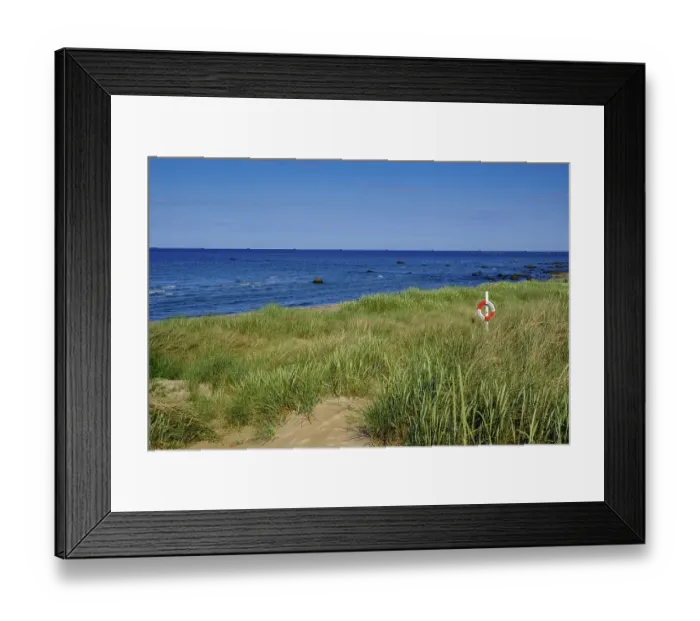 Framed Print : Lifebelt in the dunes with sea Framed Print : Lifebelt in the dunes with sea