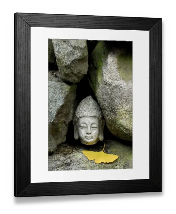 Framed Print : Buddha head between stones, ginkgo leaf