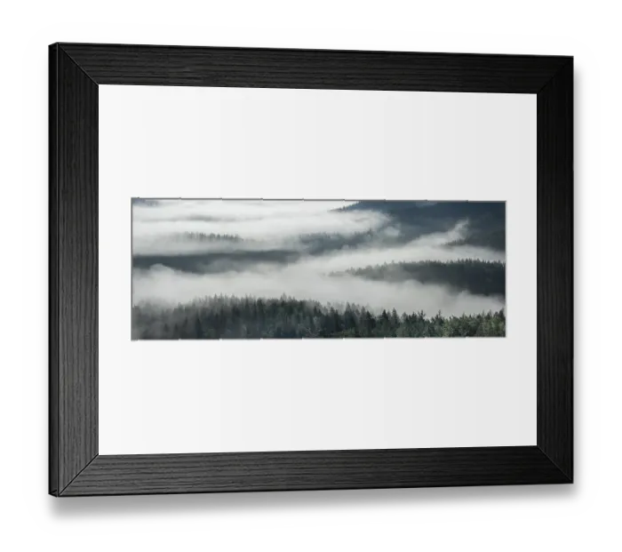 Framed Print : Panorama, view of misty forest Framed Print : Panorama, view of misty forest