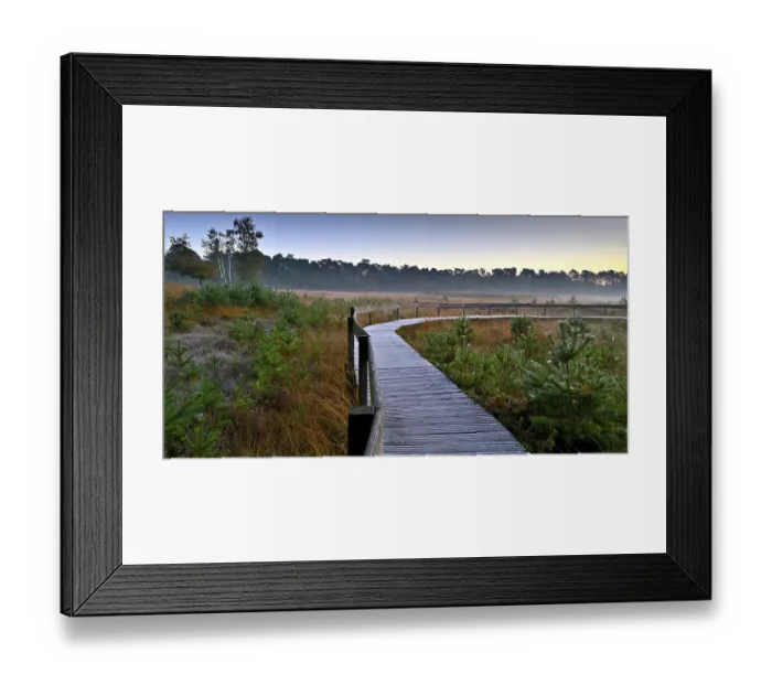 Framed Print : Wooden footbridge in a moor with scots pine (Pinus sylvestris)