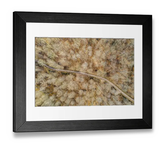 Framed Print : Drone image, Swabian Forest, mixed forest