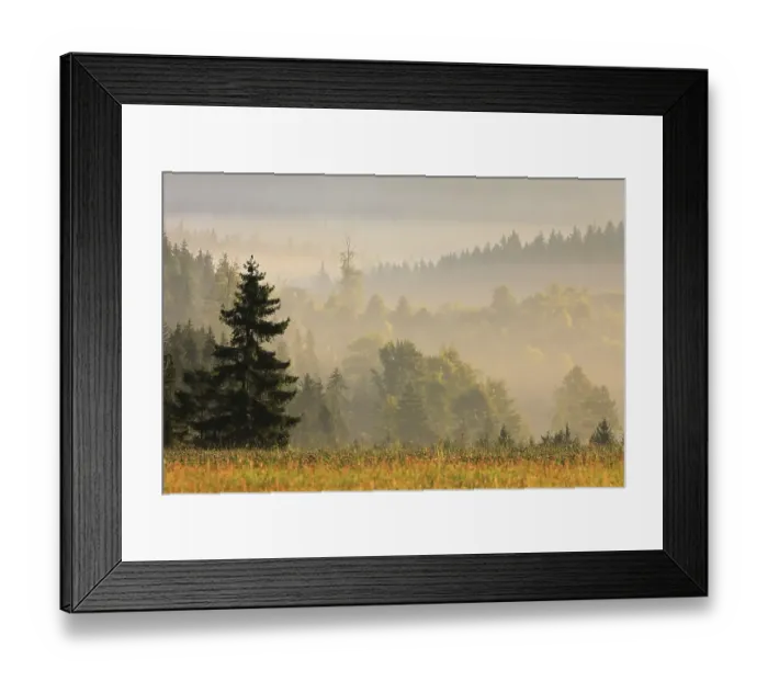 Framed Print : Mixed forest in Norgennebel, Krennheinstetten