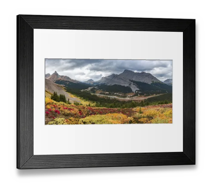 Framed Print : View to Mount Athabasca and Hilda Peak in autumn