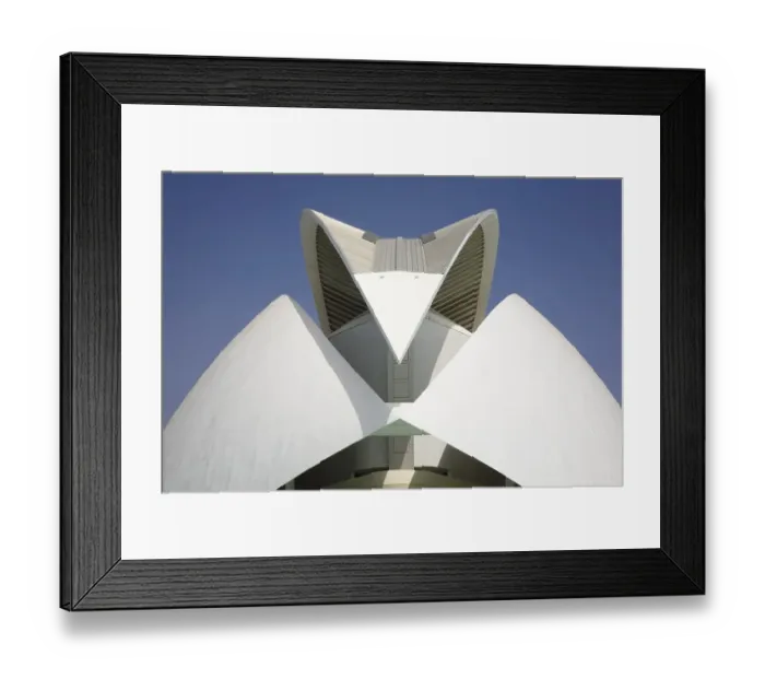Framed Print : The roof of the Palau de les Arts Reina Sofia opera house Framed Print : The roof of the Palau de les Arts Reina Sofia opera house