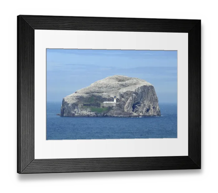 Framed Print : Bass Rock, Scotland, Great Britain, Europe