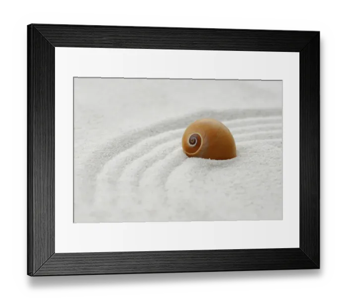 Framed Print : Snail shell in sand