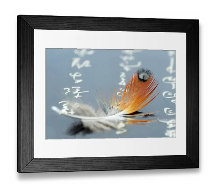 Framed Print : Bird feather and Chinese characters Framed Print : Bird feather and Chinese characters