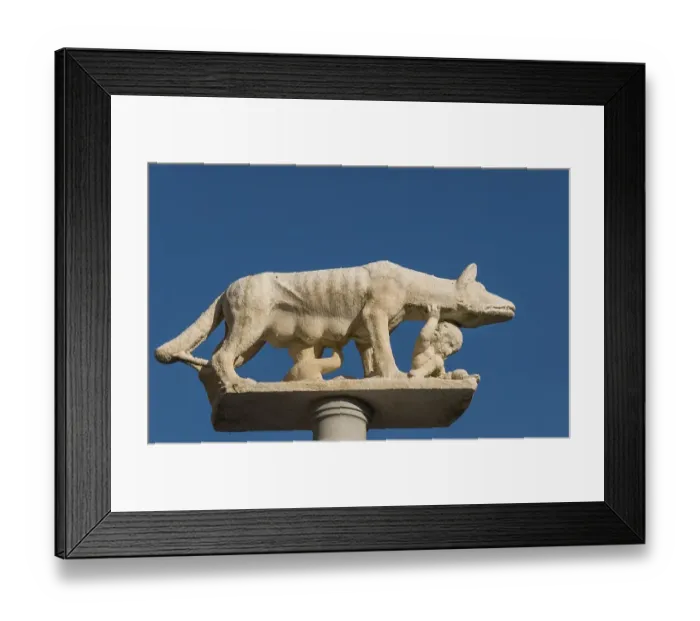Framed Print : Column with statue of the Contrada della Lupa Framed Print : Column with statue of the Contrada della Lupa