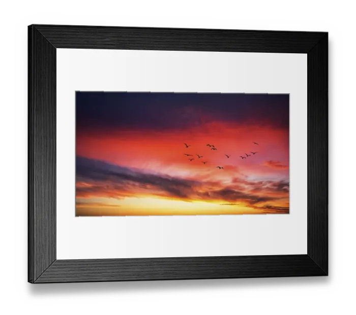 Framed Print : Photomontage, flock of birds flying in front of red clouds in evening sky Framed Print : Photomontage, flock of birds flying in front of red clouds in evening sky