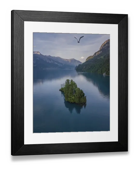 Framed Print : Aerial view, small island in Lake Brienz Framed Print : Aerial view, small island in Lake Brienz