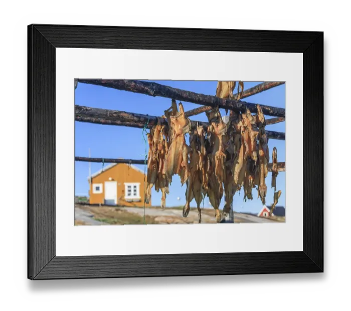 Framed Print : Dried fish, seal meat, whale meat Framed Print : Dried fish, seal meat, whale meat