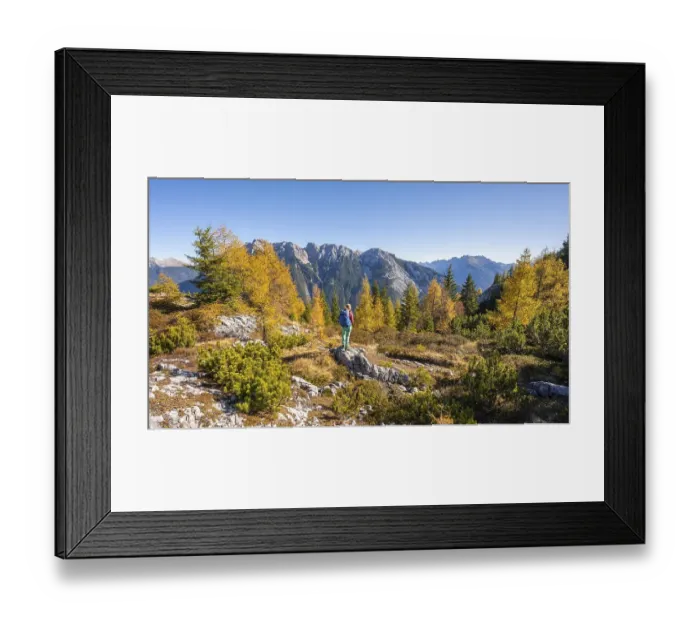 Framed Print : Hikers in the landscape, larch forest in autumn