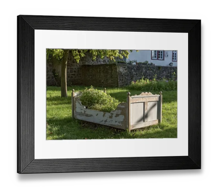 Framed Print : Old wooden bed as raised bed, herb garden