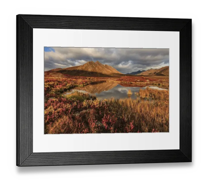 Framed Print : Morning light, clouds, fog, autumnal tundra