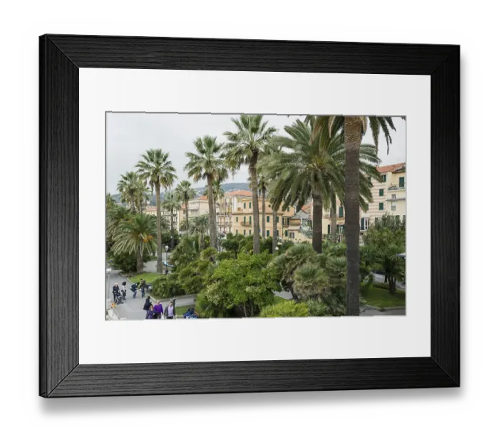 Framed Print : Beach promenade lined with palm trees Framed Print : Beach promenade lined with palm trees