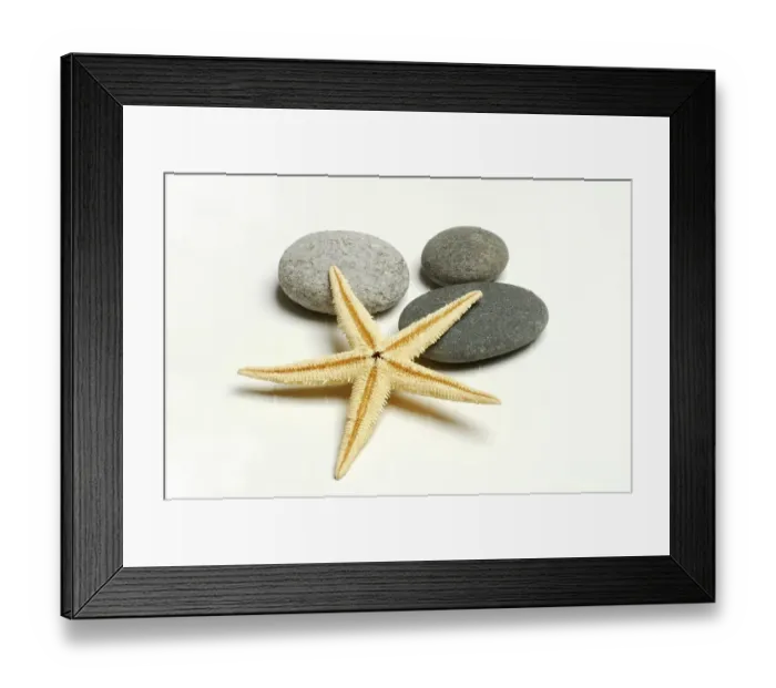 Framed Print : Dried starfish and stones, cut-out, object Framed Print : Dried starfish and stones, cut-out, object