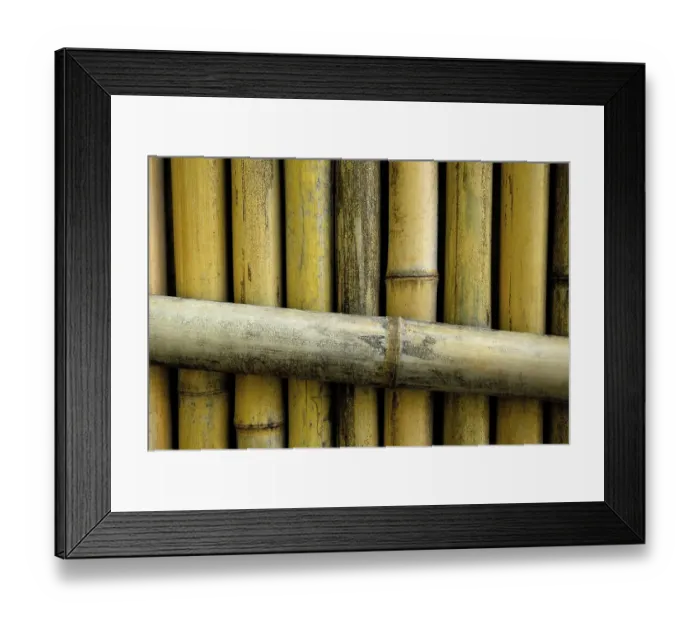 Framed Print : Bamboo fence, Japan, Asia